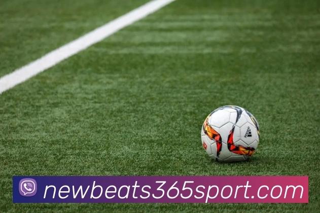 beats365体育平台生态图